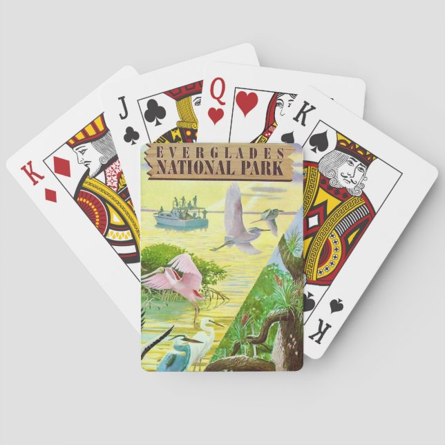 Cartas de juego del Parque Nacional Everglades (Reverso)