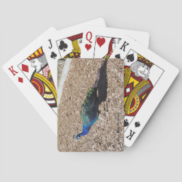 Cartas de juego del pavo real azul indio