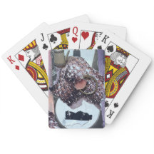 Cartas de Juego: El Anillo Mágico