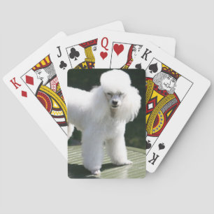 Cartas de juego en blanco de canapé en miniatura