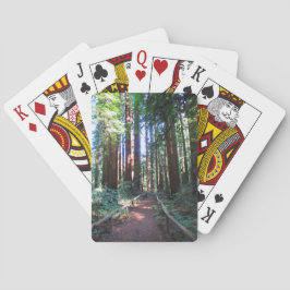 Cartas de juego en pista de secuoya de California