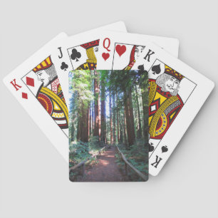 Cartas de juego en pista de secuoya de California