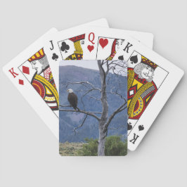 Cartas de juego en vigilancia