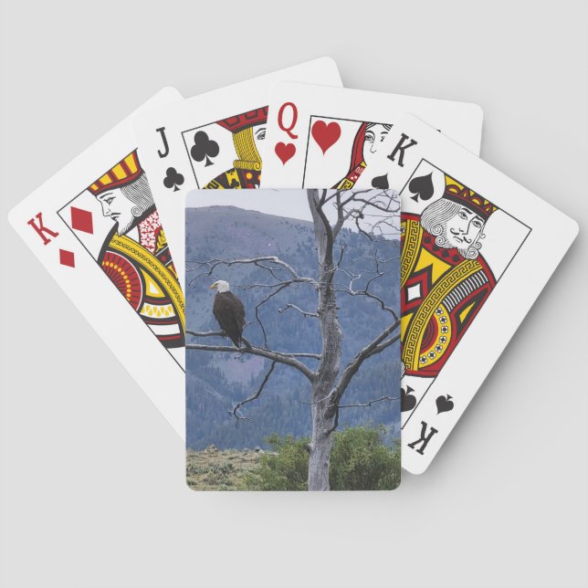 Cartas de juego en vigilancia (Reverso)