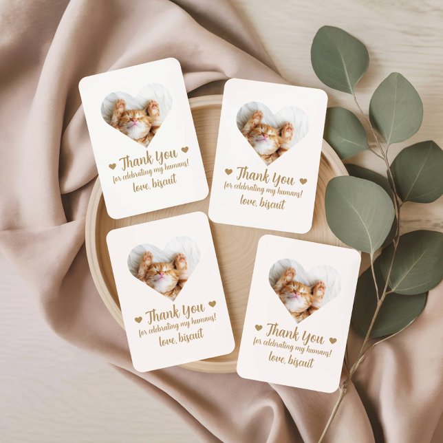 Cartas de juego favoritas para la boda de gatos co (Subido por el creador)