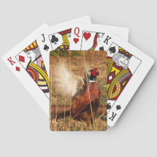 Cartas de juego Mad Pheasant