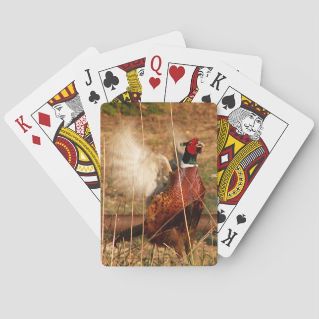 Cartas de juego Mad Pheasant (Reverso)