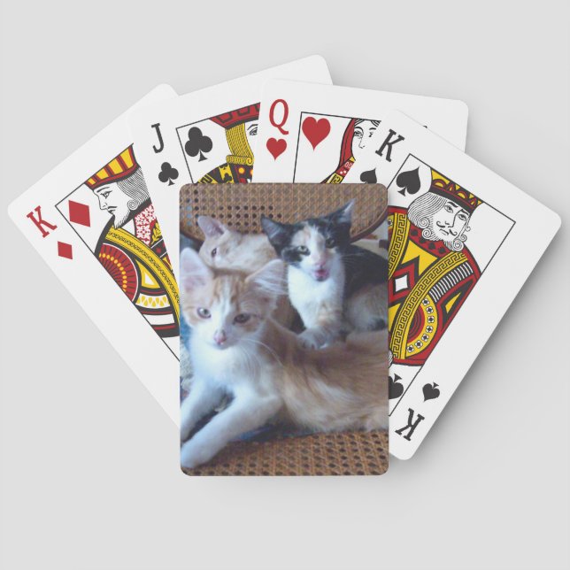 Cartas de juego Meow Cats 21 (Reverso)