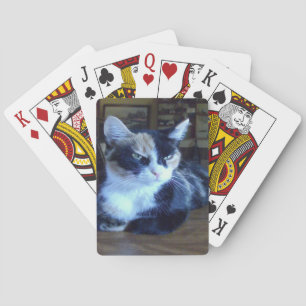Cartas de juego Meow Cats 24