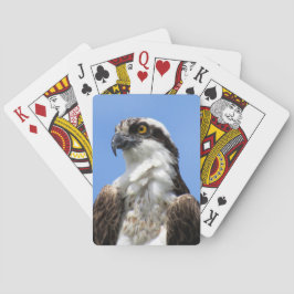 Cartas de juego Osprey (4964)