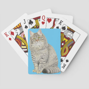 Cartas de juego para bicicletas de gatos con tabla