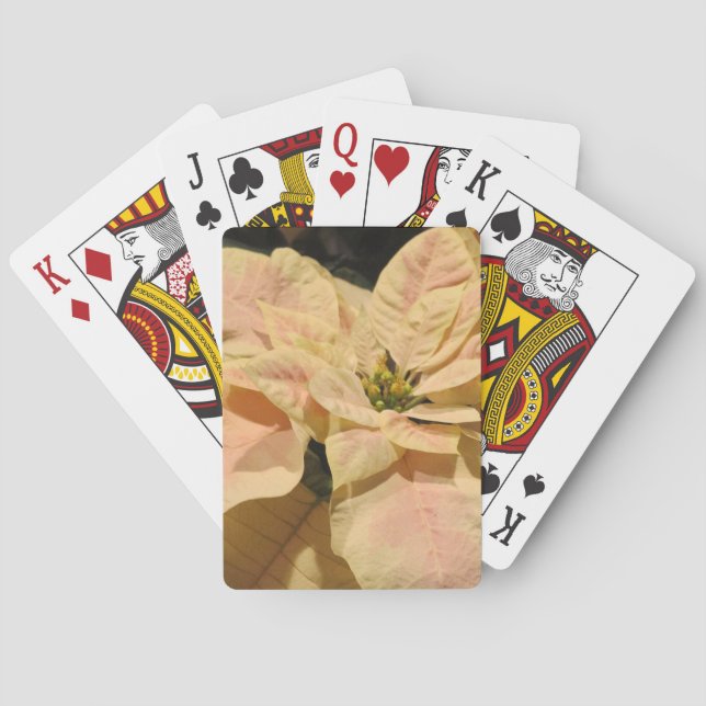 Cartas de juego para Navidades de Poinsettia Rosa (Reverso)