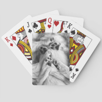 Cartas de Juego Patas de Cachorro