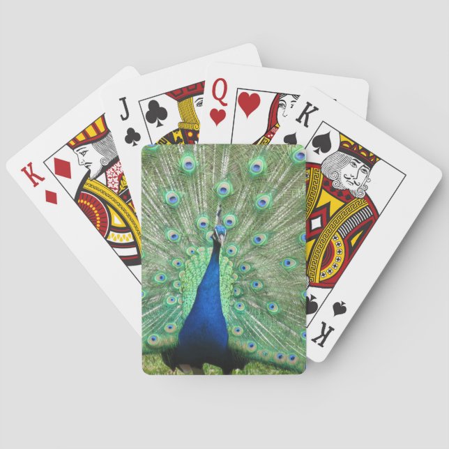 Cartas de juego - Peacock (Reverso)