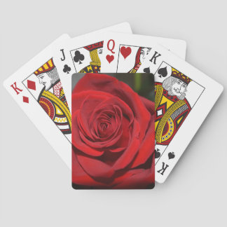 Cartas de Juego Rosa Roja