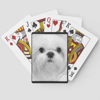 Cartas de juego Shih Tzu blancas