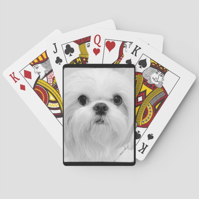 Cartas de juego Shih Tzu blancas (Reverso)