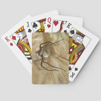 Cartas de juego Spider and Egg Sac
