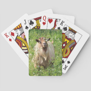 Cartas de juego "Tema de cabra"