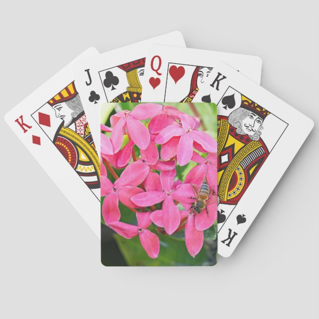 Cartas de la Planta Ixora (Reverso)