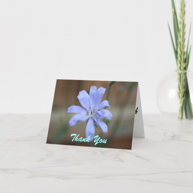 Cartas de notas de agradecimiento de Chicory (Anverso)