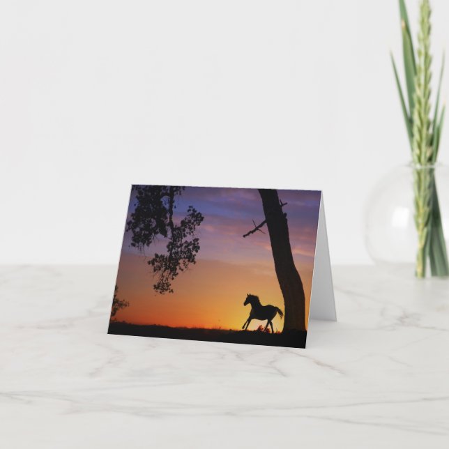 Cartas de notas de caballos en blanco (Anverso)