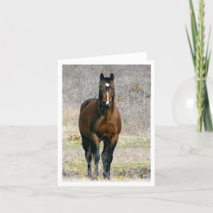 Cartas de notas de caballos en blanco