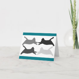 Cartas de notas de gatos acrobáticos de Acrobat