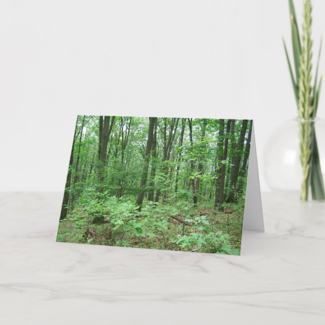 Cartas de notas de la empresa de montaje (Anverso)