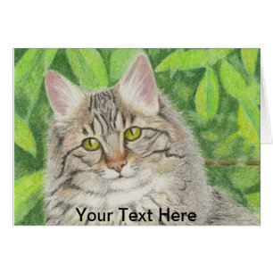 Cartas de notas para el cabello largo de Tabby