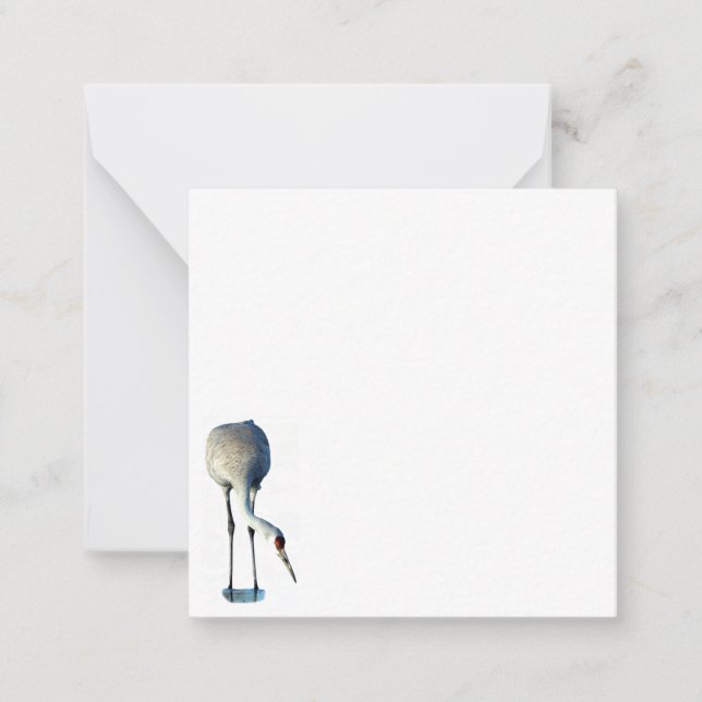Cartas de notas planas de Sandhill Crane Photo Sta (Anverso)