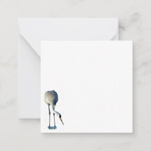Cartas de notas planas de Sandhill Crane Photo Sta