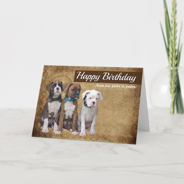 Cartas de perro de cachorro Boxer - Tarjeta de cum (Anverso)