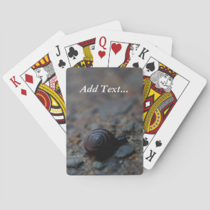 Cartas de póquer de caracol pequeño