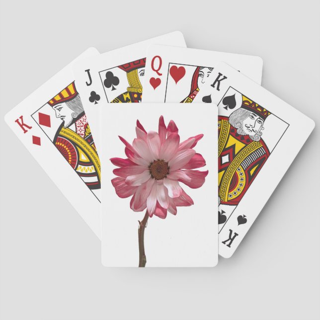 Cartas de reproducción (Reverso)