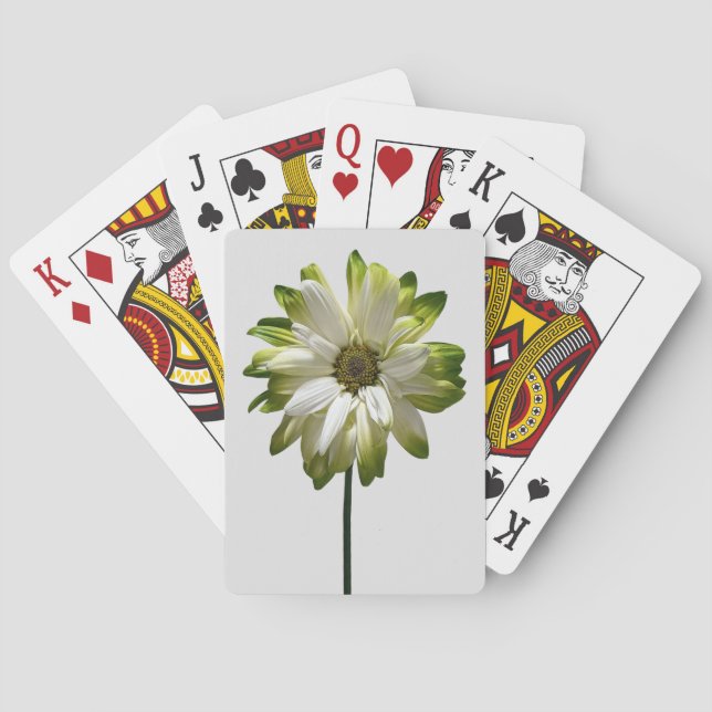 Cartas de reproducción (Reverso)