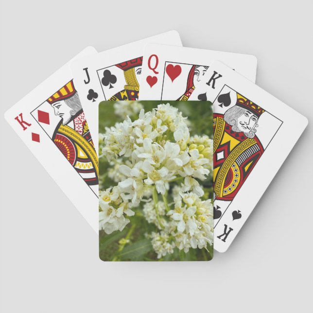 Cartas de reproducción (Reverso)