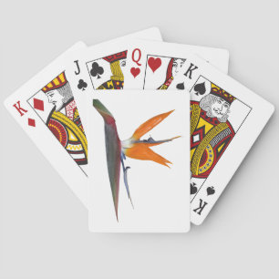 Cartas de reproducción