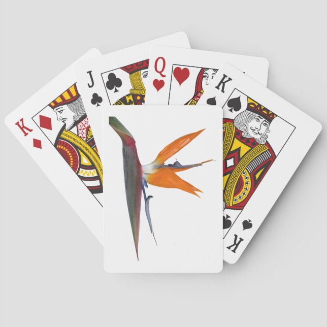 Cartas de reproducción (Reverso)