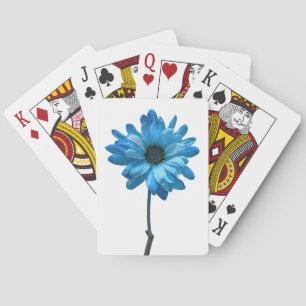 Cartas de reproducción