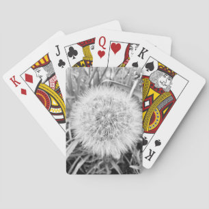 Cartas de reproducción