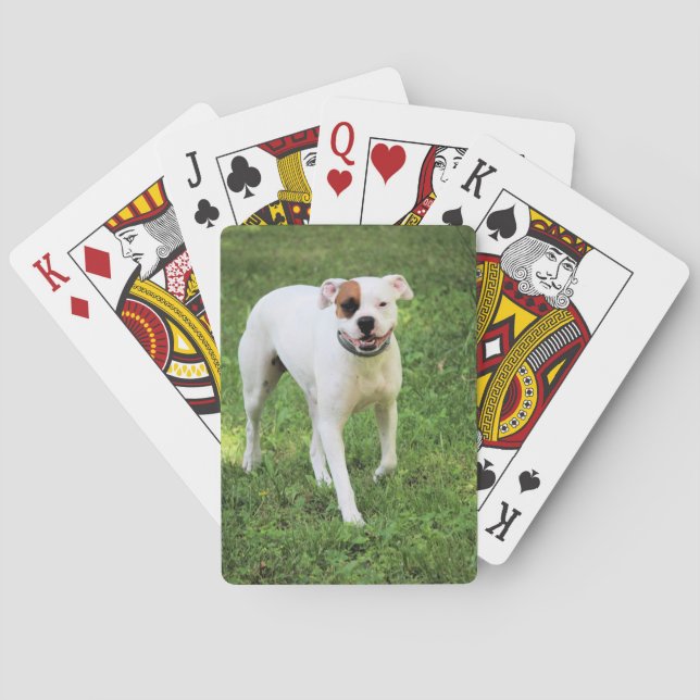 Cartas de reproducción de Boxer (Reverso)