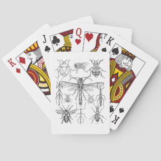 Cartas de reproducción de diseño de insectos