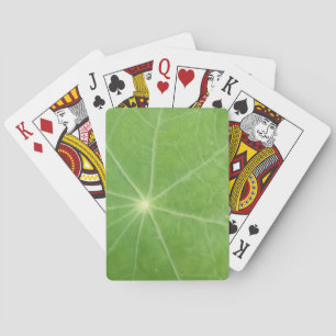 Cartas de reproducción de hojas de nasturcio