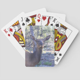 Cartas de reproducción de Moose