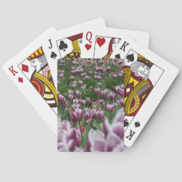 Cartas de tulipanes morados y blancos