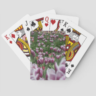 Cartas de tulipanes morados y blancos