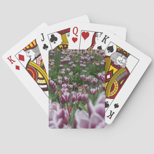 Cartas de tulipanes morados y blancos (Reverso)