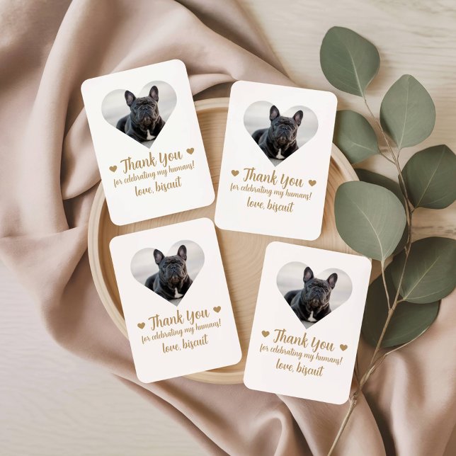 Cartas para jugar a favor de la boda de perros con (Subido por el creador)