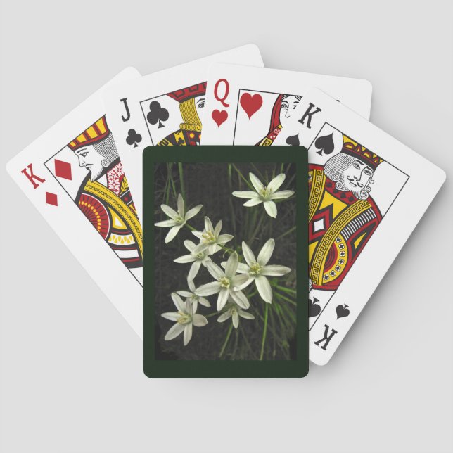 Cartas para jugar a la flor de Belén (Reverso)